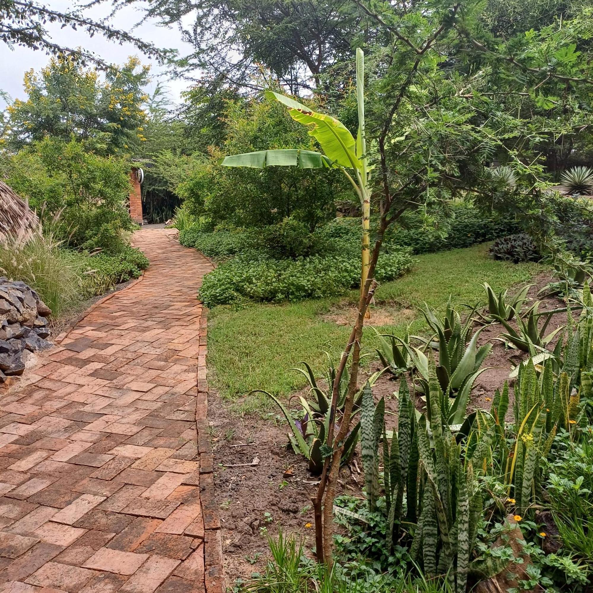 Kutoka Lodge 아루샤 외부 사진