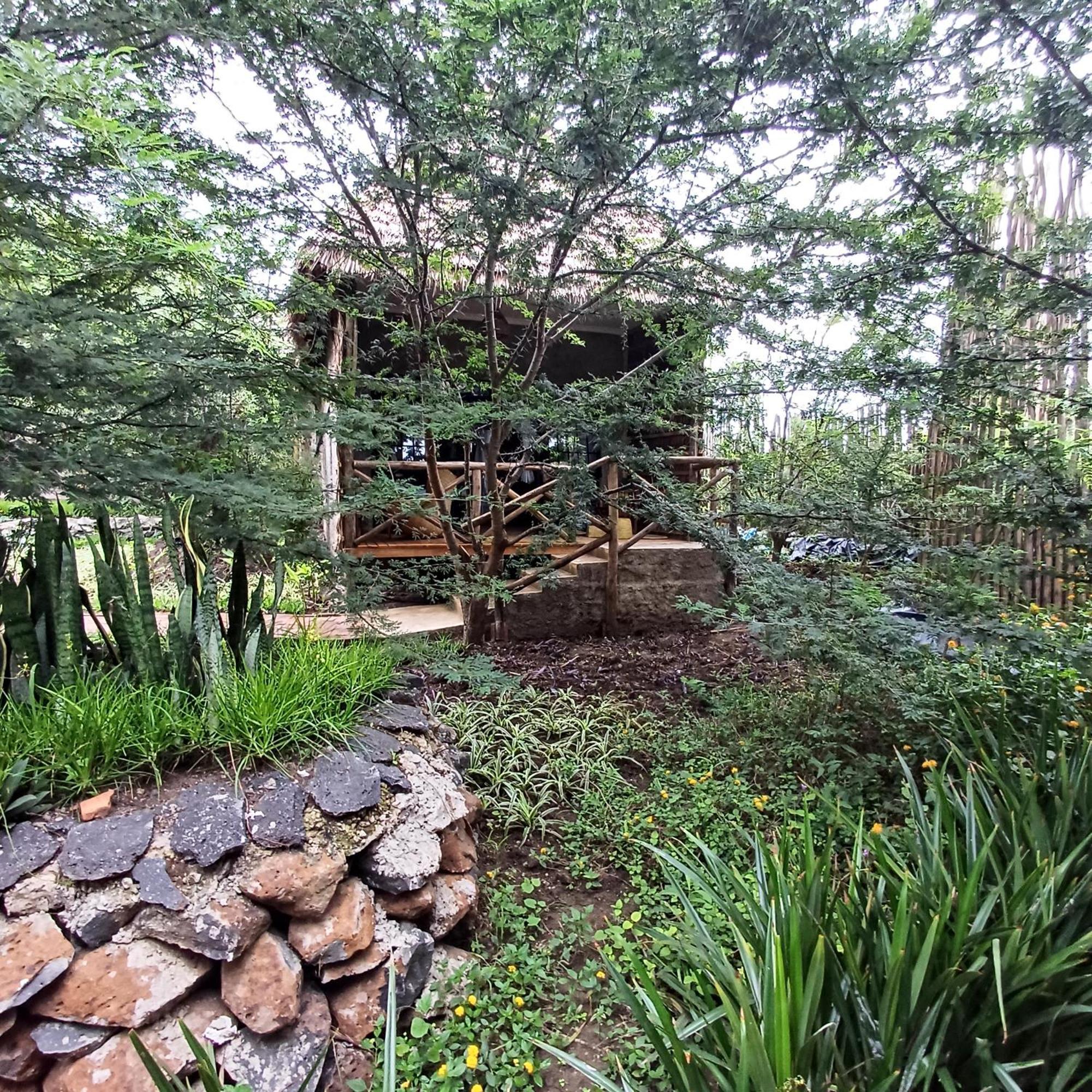 Kutoka Lodge 아루샤 외부 사진